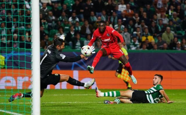 1667378986055030524.jpg 1667378986055030524.jpg